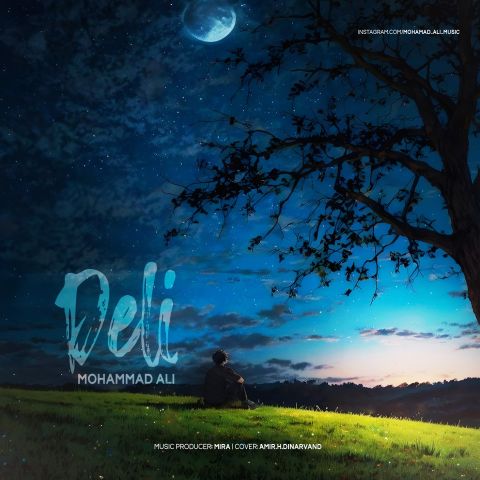 دانلود آهنگ محمد علی به نام دلی ۵